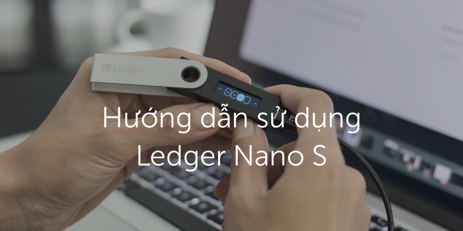 ledger.vn