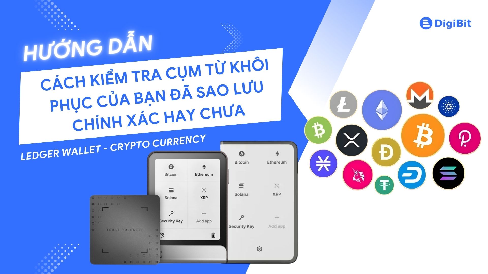 Digibi Kiểm tra cụm từ dự phòng an toàn với Ledger Recovery Check - DigiBit