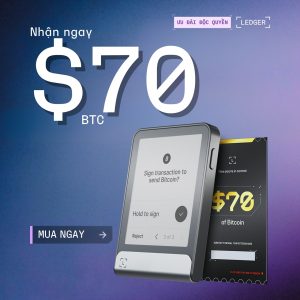 Ví lạnh Ledger Flex