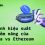Hướng dẫn so sánh hiệu suất và tiềm năng của Solana vs Ethereum